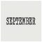 September Month Calendar Fun Text Wall Cookie DIY Craft Reusable Stencil